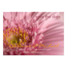 Rosa Gerbera • Save the Date Karte Personalisierte Ankündigung