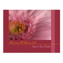 Rosa Gerbera • Save-the-Date-Postkarte