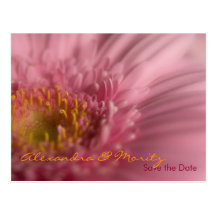 Rosa Gerbera • Save-the-Date-Postkarte