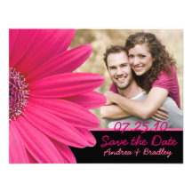 Rosa Gerbera-Schwarz-Foto-Save the Date Karte Individuelle Einladungskarte
