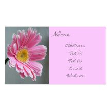 Rosa Gerbera Visitenkartenvorlage