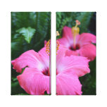 Rosa Hibiskus-Leinwand-Druck Leinwand Druck