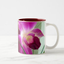 Rosa Himbeerorchideen Teehaferl