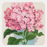 Rosa Hydrangea-Vintager Aufkleber