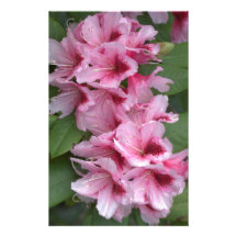 Rosa Individuelle Druckpapiere
