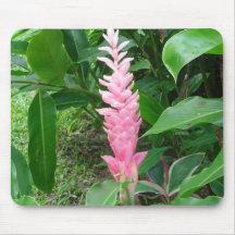 Rosa Ingwer Mousepad