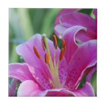 Rosa Lilien Fliese oder Trivets