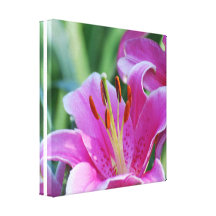 Rosa Lilien-Leinwand-Druck Leinwand Drucke