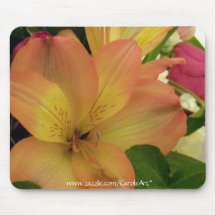 "Rosa Lilien-Rote Rose" Mousepad