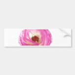 Rosa Mohnblumengeschenke Autoaufkleber