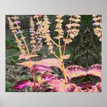 Rosa n silbernes Blumen Poster