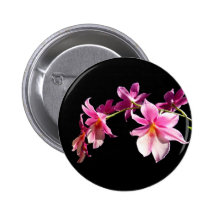Rosa Orchidee Anstecknadel