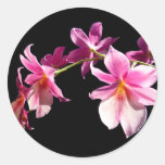 Rosa Orchidee Aufkleber
