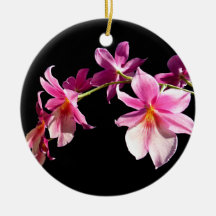 Rosa Orchidee Ornamente