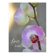 Rosa Orchideen-Ausdruck-Liebe heilt Postkarte