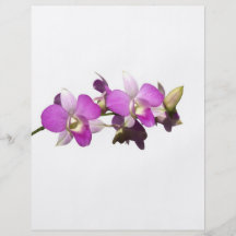 Rosa Orchideen Bedruckte Flyer