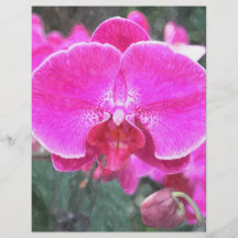 Rosa Orchideen-Blume, Blumenphotographie Vollfarbige Flyer