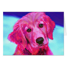rosa Retriever Grußkarte