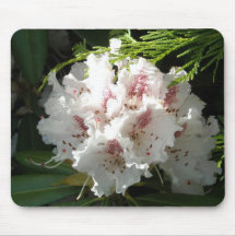 Rosa Rhododendron-Foto Mousepad