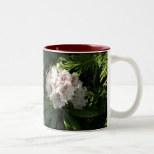 Rosa Rhododendron-Foto Teehaferl