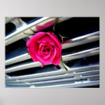 Rosa Rose auf Grill-Plakat