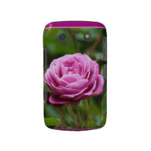 Rosa Rose BlackBerry-mutige Case-Mate kaum There™ Blackberry Bold Cover