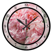 Rosa Rose "Felicia "