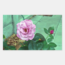 Rosa Rose mit grünem Blätter Sticker