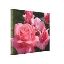 Rosa Rose "spezieller Jahrestag " Gespannte Galerie Drucke