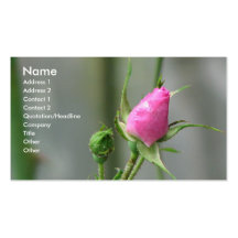 Rosa Rose Visitenkarten
