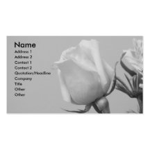 Rosa Rose Visitenkarten Vorlage
