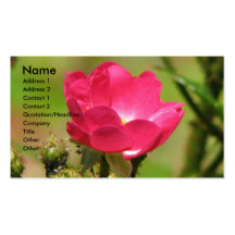 Rosa Rose Visitenkartenvorlagen