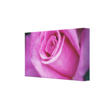 Rosa Rosen-Blume eingewickelte Leinwand Galerie Gefaltete Leinwand