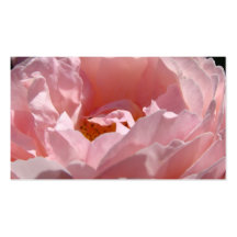 Rosa Rosen-Blumen-Geschäfts-Karten mit Blumen Visitenkarten Vorlagen