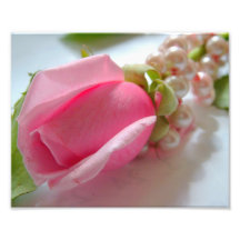 Rosa Rosen-Blumenknospe mit Perlenhalskette Photo