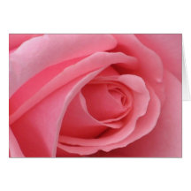 Rosa Rosen-Karte