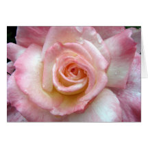 Rosa Rosen-Karte