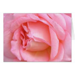 Rosa Rosen-Karte