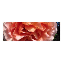 Rosa Rosen-Lesezeichen Visitenkarten Vorlagen
