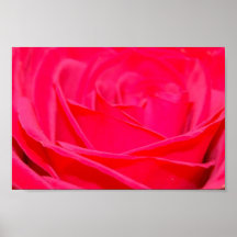 Rosa Rosen-Plakat