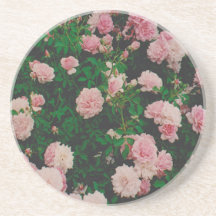 Rosa Rosen Untersetzer