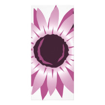 Rosa Sonnenblume mit Marienkäfern Karten Druck