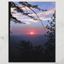 Rosa Sonnenuntergang mit Kiefern und Wolken Flyerdruck