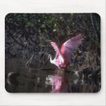 Rosa Spoonbill, fischend Mauspads