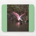 Rosa Spoonbill, fischend Mauspads