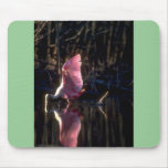 Rosa Spoonbill, fischend Mauspads