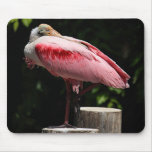 Rosa Spoonbill mousepad
