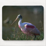 Rosa Spoonbill Mousepad