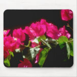 Rosa tropische Blumen, Ocho Rios Blumen Mauspad