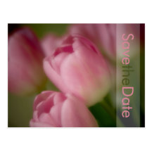 Rosa Tulpen • Save-the-Date-Postkarte